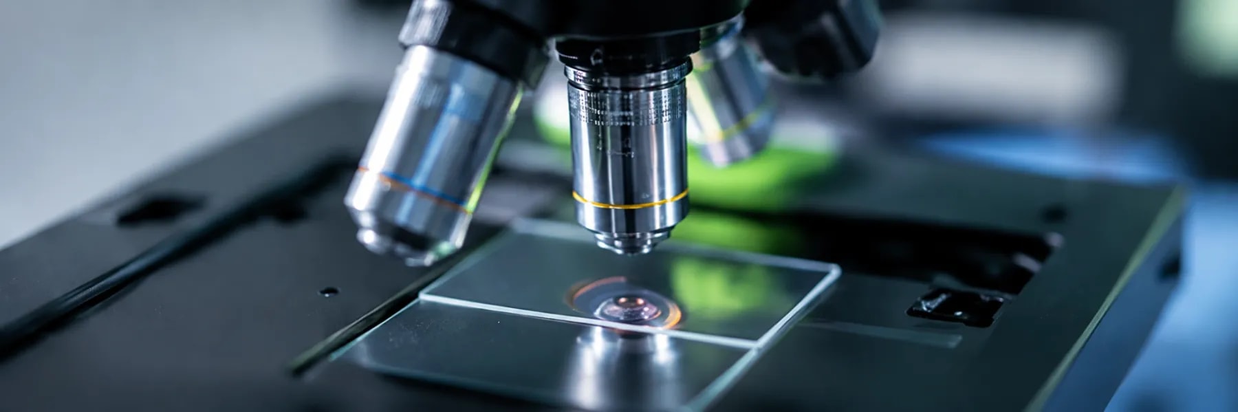 Laboratory verifying stem cell count and viability